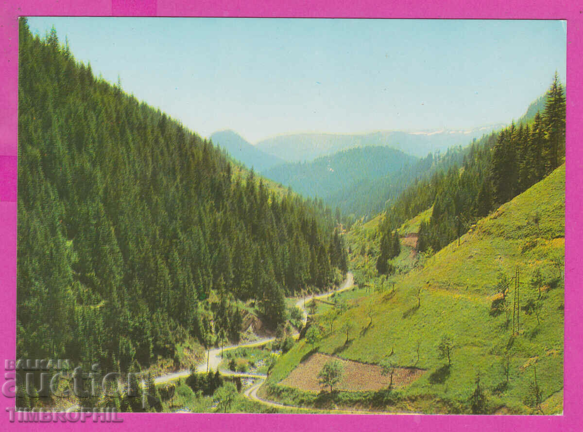 Δημοπρασία 310252 / βουνό Ροδόπη - θέα D-3712-А Fotoizdat PK Δημοπρασία 310252 / βουνό Ροδόπη - θέα D-3712-А Fotoizdat PK