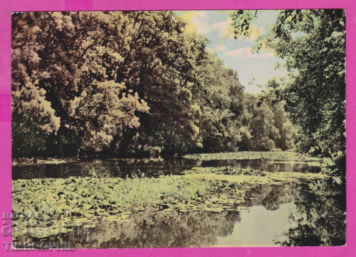 Auction 310258 / Ropotamo River - A1/1961 Directorate of Photography PK Auction 310258 / Ropotamo River - A1/1961 Directorate of Photography PK