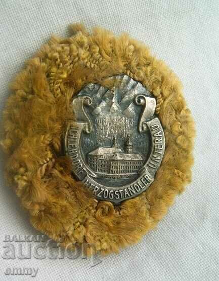 Insigna Germania - Muntele Herzogstand, conservare Insigna Germania - Muntele Herzogstand, conservare