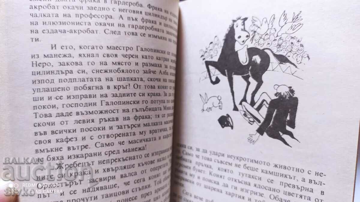 The Little Man, Erich Kästner, illustrations - 7