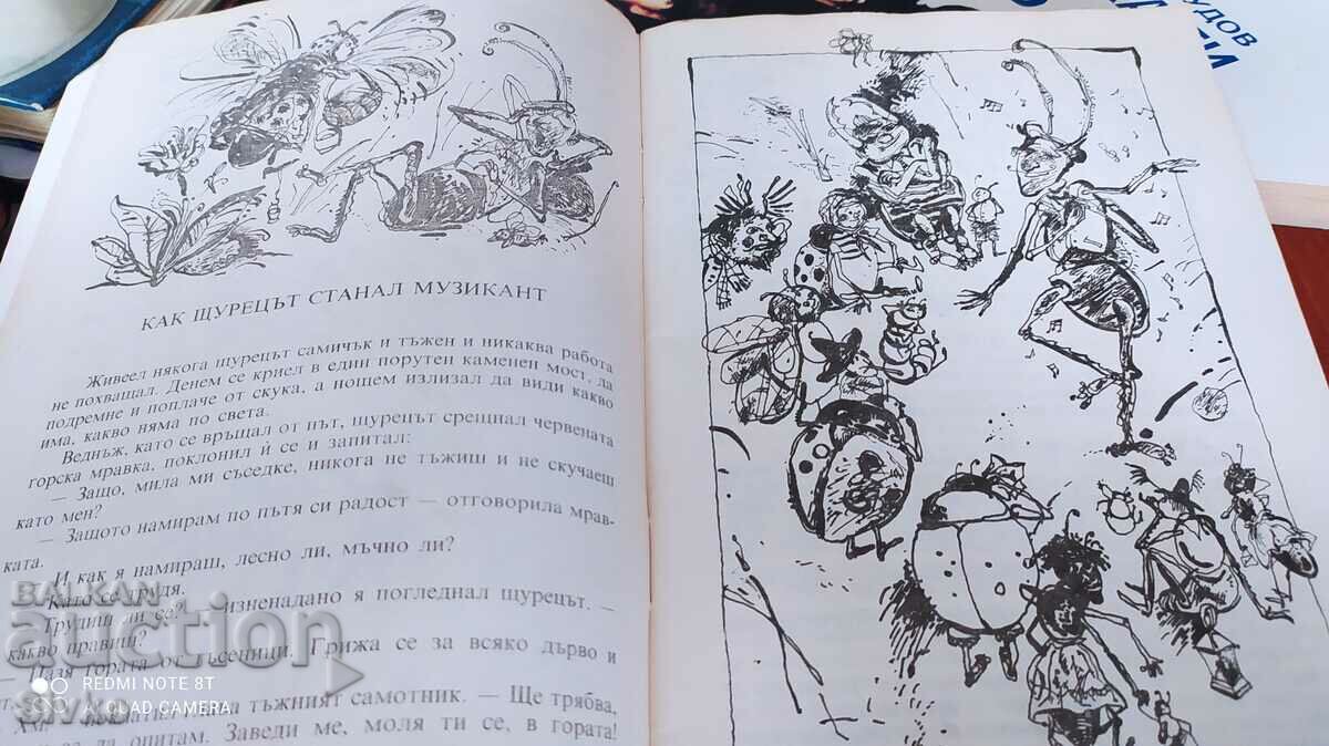 Licitație Pisica leneșă, Georgi Avgarski, prima ediție Licitație Pisica leneșă, Georgi Avgarski, prima ediție