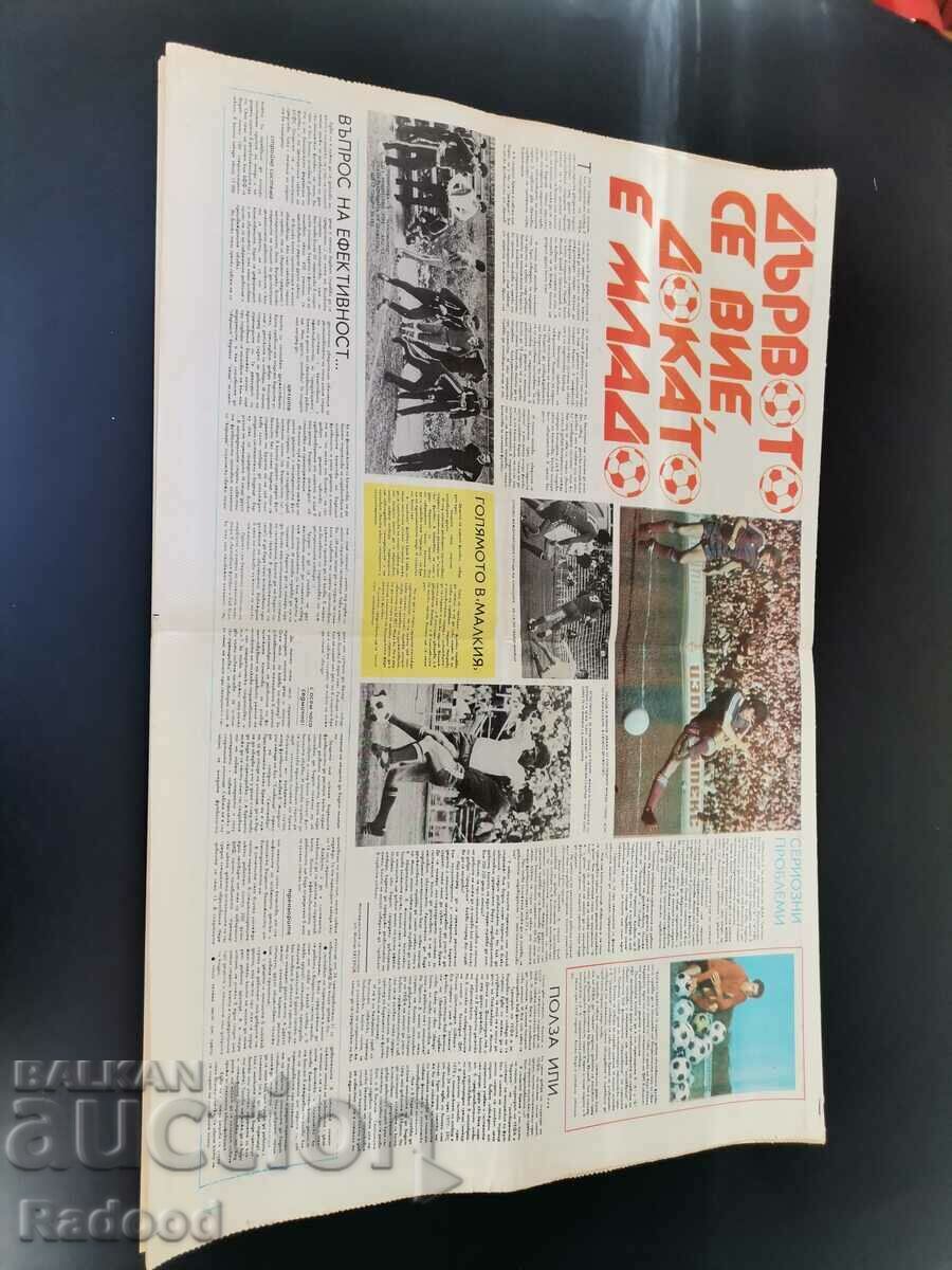 "Start" newspaper. Number 399/1979 with price 10.00 BGN | € 5.11 "Start" newspaper. Number 399/1979 with price 10.00 BGN | € 5.11