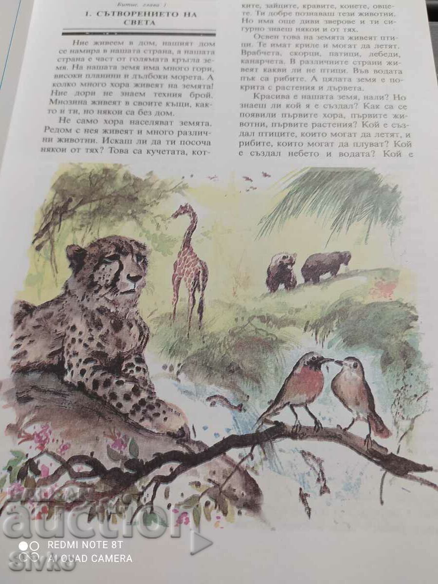 Children's Bible, many illustrations with price 0.11 BGN | € 0.06