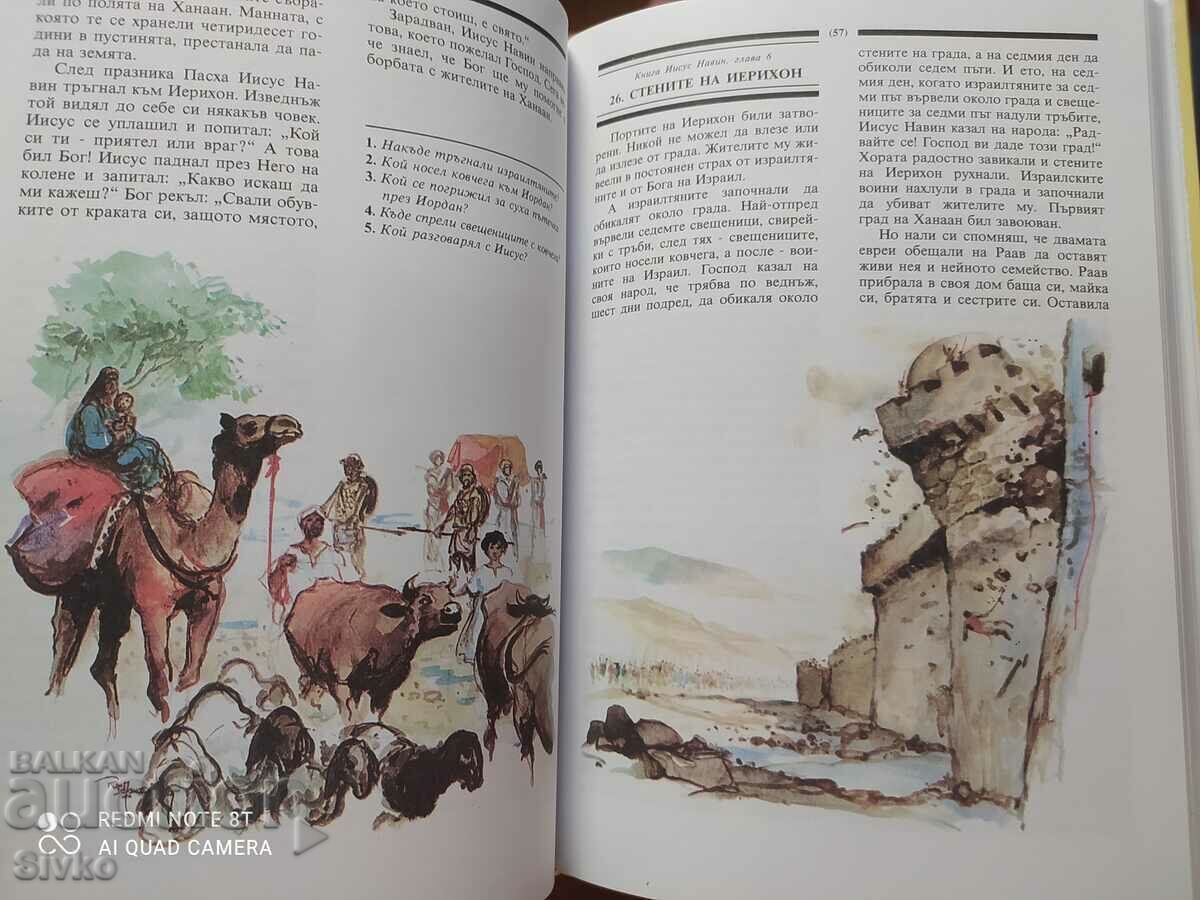 Children's Bible, many illustrations - 7 Children's Bible, many illustrations - 7