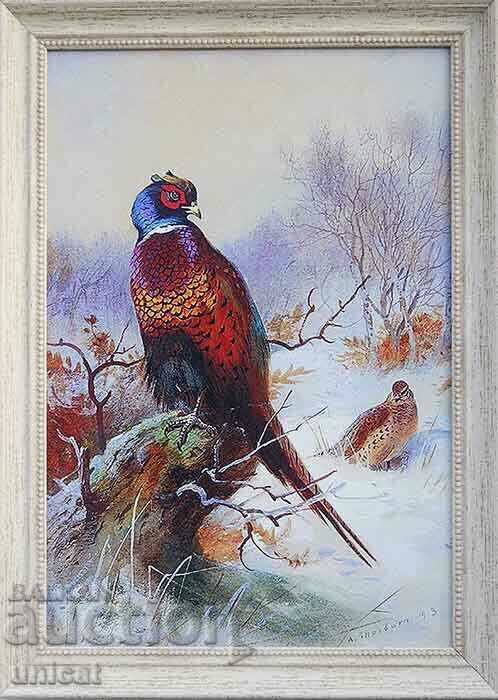 Pheasants in winter, picture for hunters