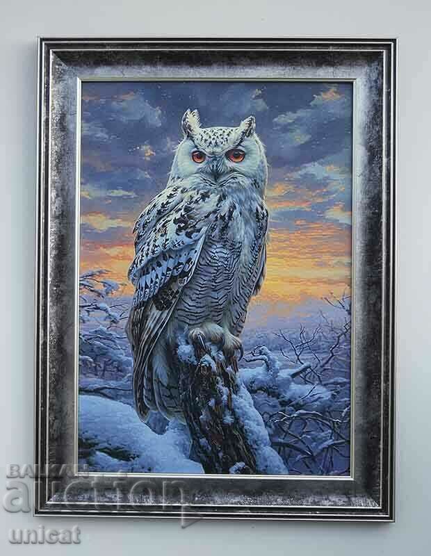 Polar, white owl, dusk, picture for hunters