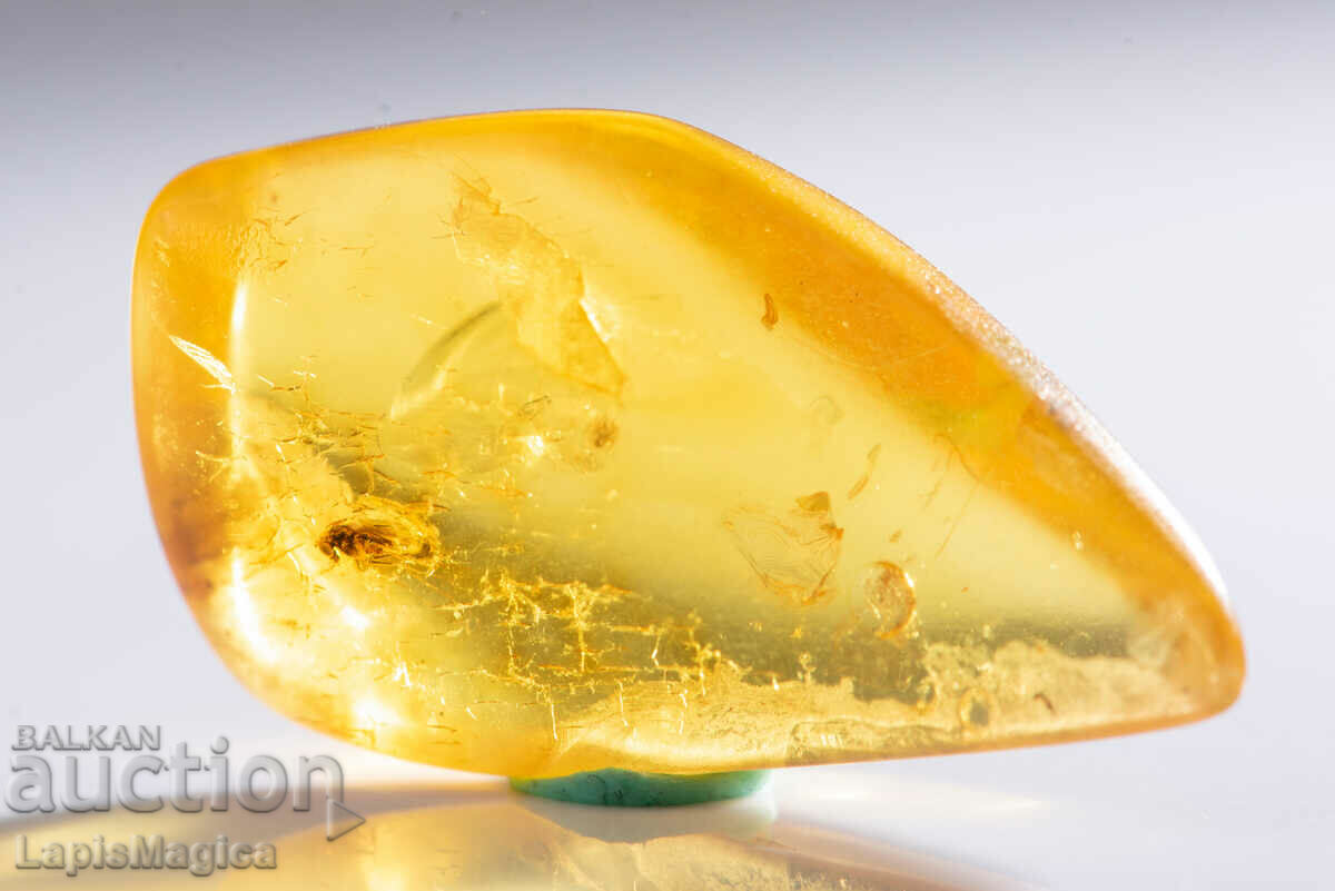 Polished Baltic amber with insect fly 10.8ct with price 65.00 BGN | € 33.23 Polished Baltic amber with insect fly 10.8ct with price 65.00 BGN | € 33.23