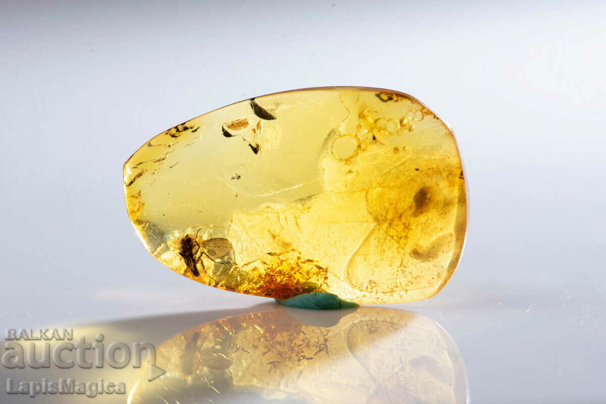Polished Baltic amber with insect fly 5.5ct with price 55.00 BGN | € 28.12 Polished Baltic amber with insect fly 5.5ct with price 55.00 BGN | € 28.12