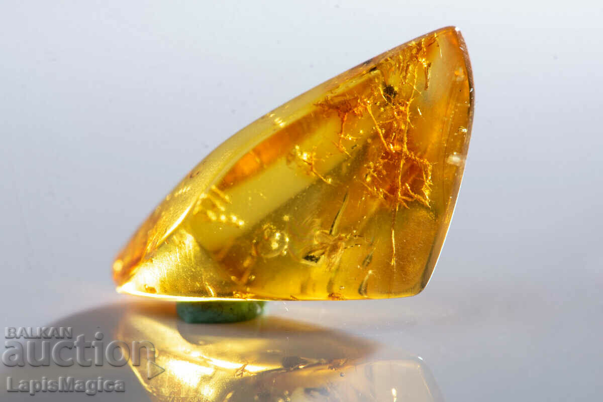 Polished Baltic Amber with 2 insects 8.2ct with price 60.00 BGN | € 30.68 Polished Baltic Amber with 2 insects 8.2ct with price 60.00 BGN | € 30.68