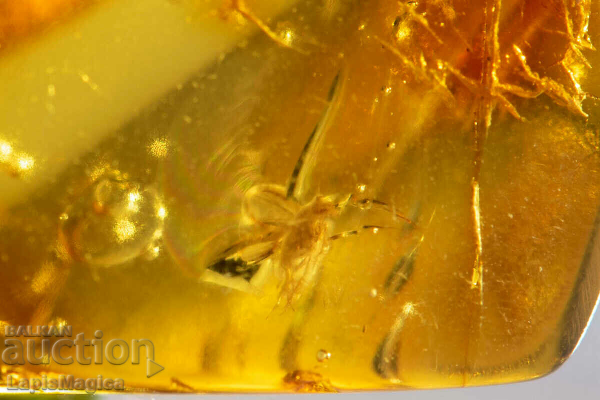 Auction Polished Baltic Amber with 2 insects 8.2ct Auction Polished Baltic Amber with 2 insects 8.2ct