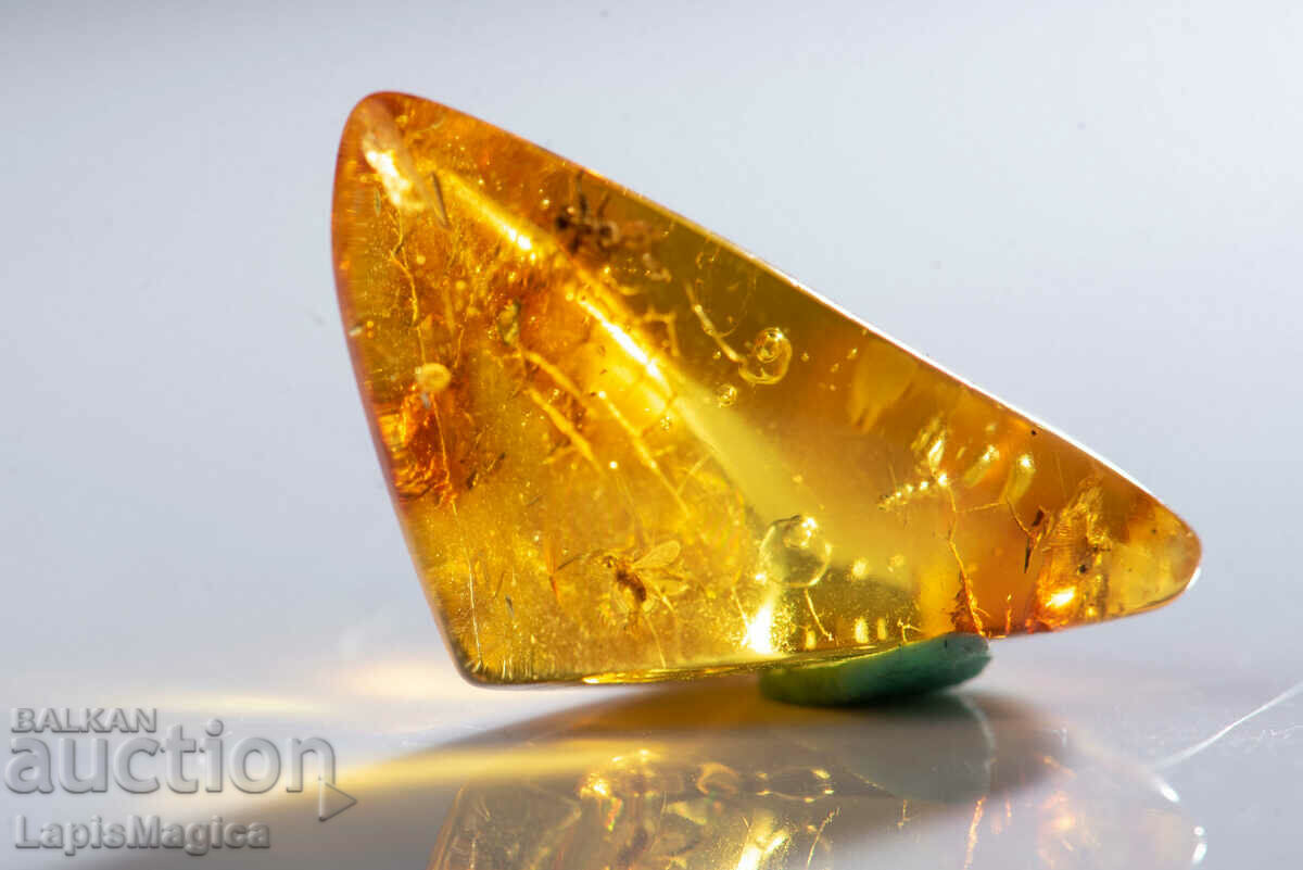 Delivery of Polished Baltic Amber with 2 insects 8.2ct Delivery of Polished Baltic Amber with 2 insects 8.2ct