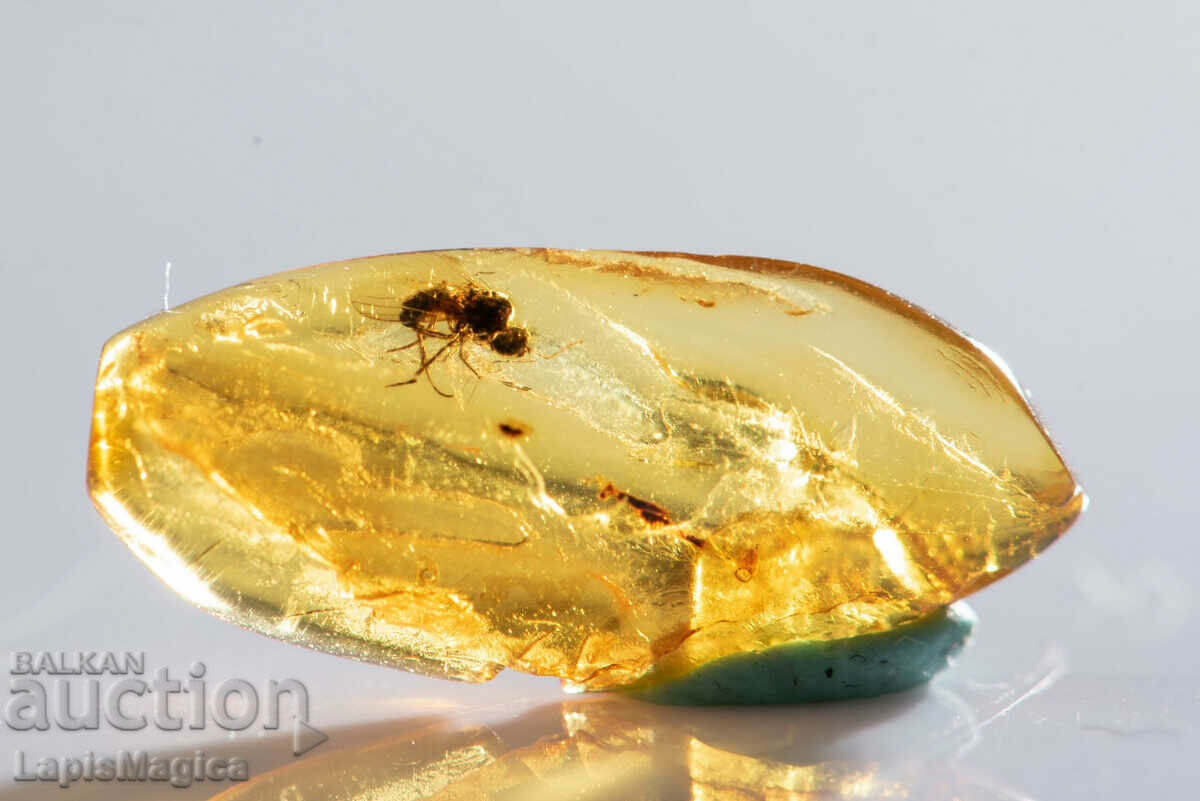 Polished Baltic amber with insect fly 1ct with price 44.00 BGN | € 22.50 Polished Baltic amber with insect fly 1ct with price 44.00 BGN | € 22.50