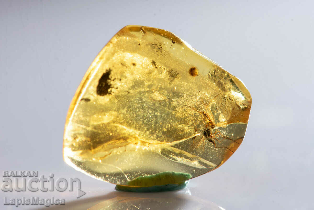 Polished Baltic Amber with Mosquito Insect 3.2ct