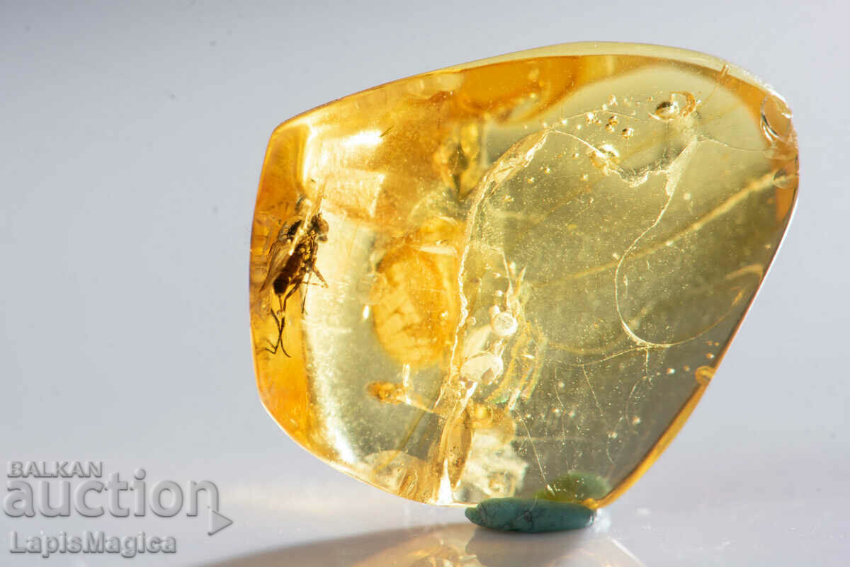 Polished Balinese amber with insect fly 4.6ct with price 55.00 BGN | € 28.12 Polished Balinese amber with insect fly 4.6ct with price 55.00 BGN | € 28.12
