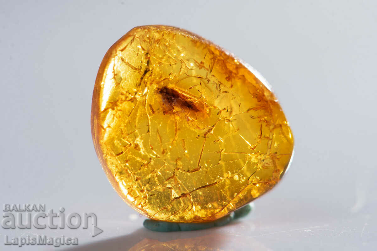 Polished Baltic amber with insect 1.7ct