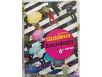✅SOCIOLOGY - ANTHONY GIDDENS 6TH EDITION❗