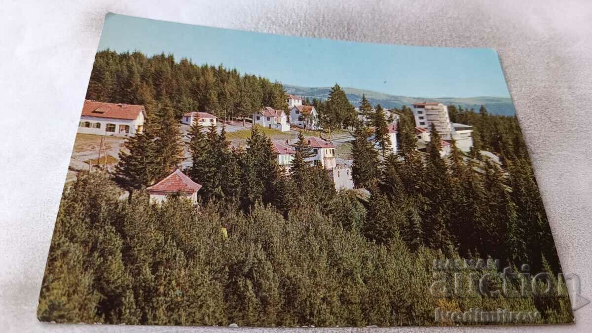 Пощенска картичка Пампорово Изглед 1968