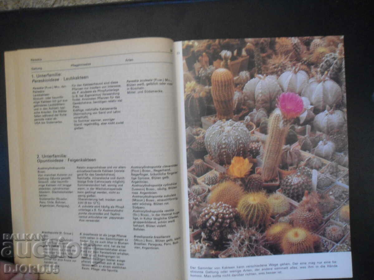 Auction Ratschlage fur den Kakteen-freund Auction Ratschlage fur den Kakteen-freund