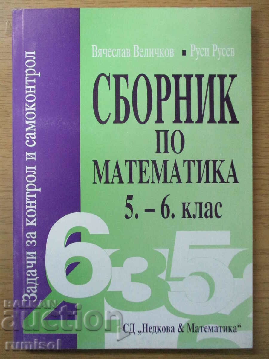 Mathematics workbook - 5-6th grade, Vyacheslav Velichkov