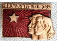 15446 Badge - For Communist Labor - bronze enamel
