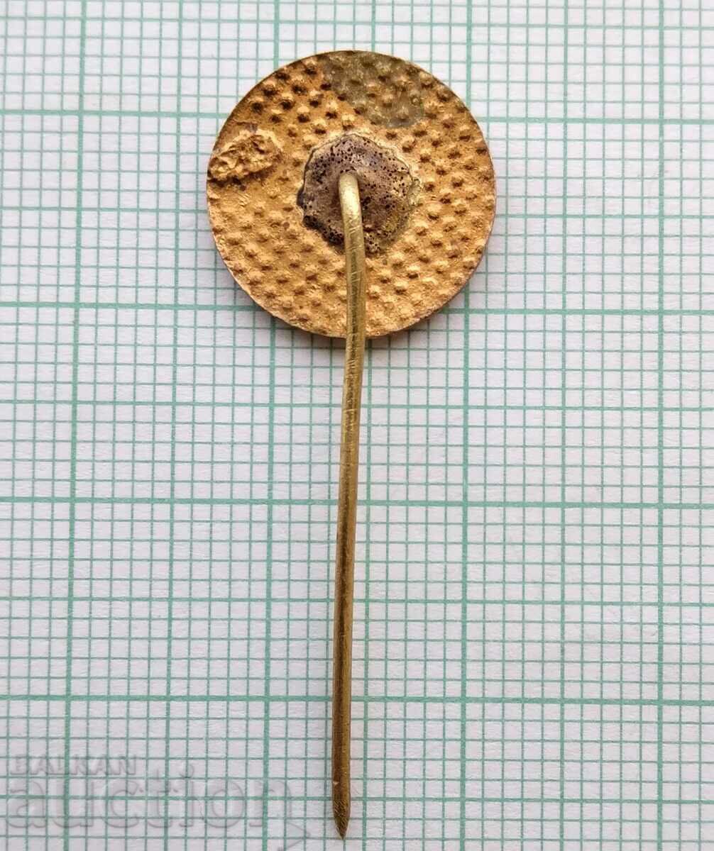 Δημοπρασία 15450 Σήμα - 50 χρόνια BCK Βουλγαρικός Ερυθρός Σταυρός - χάλκινο