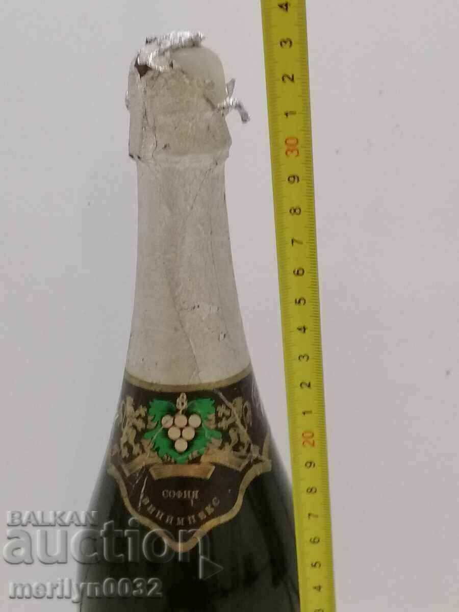 Champagne bottle Iskra wine vintage 1985 UNPRINTED - 7 Champagne bottle Iskra wine vintage 1985 UNPRINTED - 7