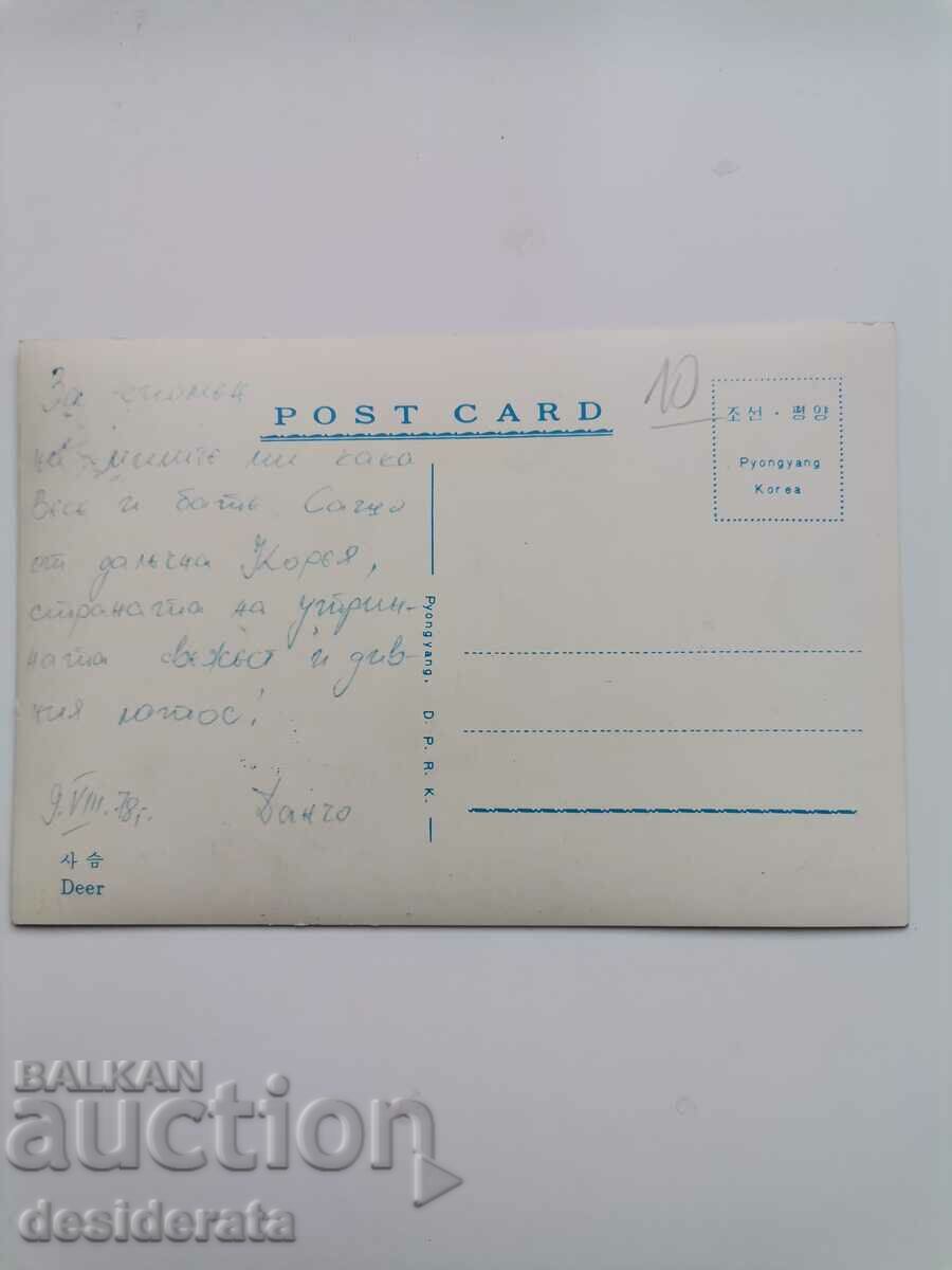 Old postcard from Korea with price 10.00 BGN | € 5.11 Old postcard from Korea with price 10.00 BGN | € 5.11
