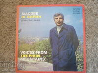 Voices from Pirin, VTA 10329, gramophone record, large