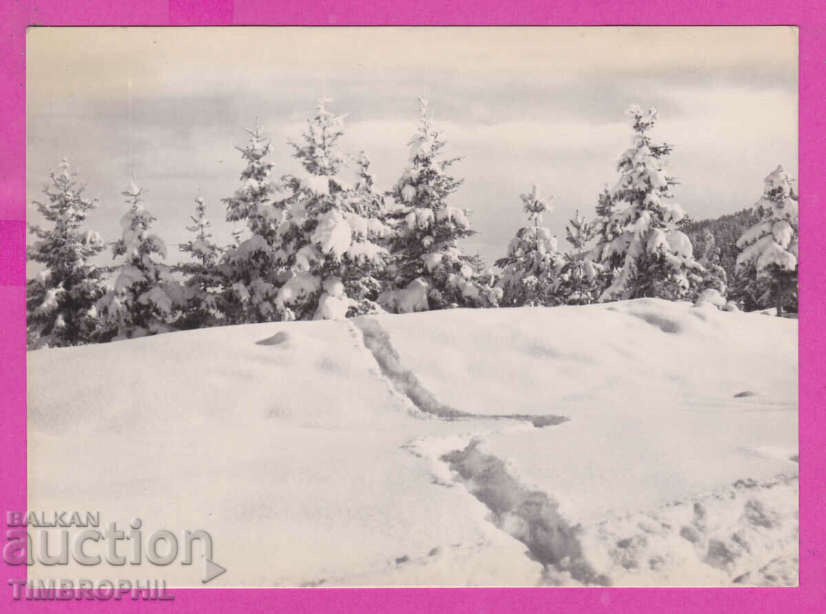 Δημοπρασία 310315 / Βουνό Ρίλα - Φωτογράφηση χειμερινού τοπίου A-1 Bulgarsk Δημοπρασία 310315 / Βουνό Ρίλα - Φωτογράφηση χειμερινού τοπίου A-1 Bulgarsk