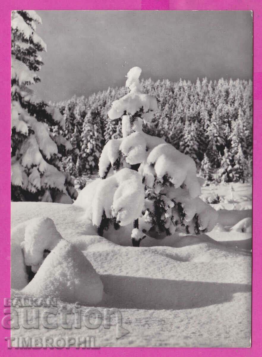 Auction 310319 / Rila Mountain - Winter Landscape A-22 Photo edition PK Auction 310319 / Rila Mountain - Winter Landscape A-22 Photo edition PK