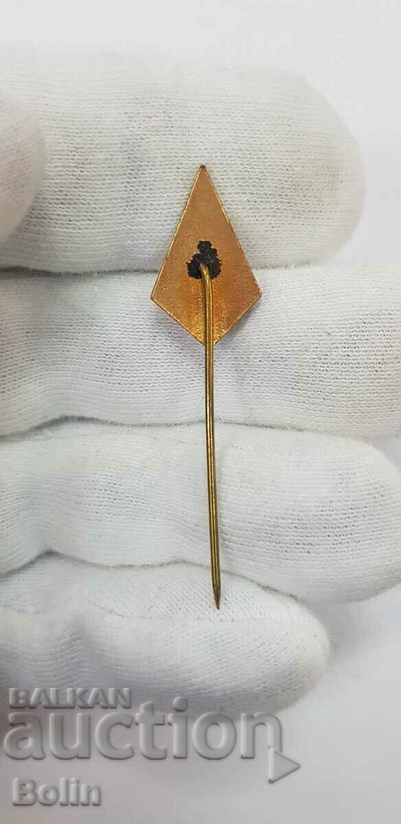 Delivery of Royal Agricultural Badge Enamel Badge Delivery of Royal Agricultural Badge Enamel Badge