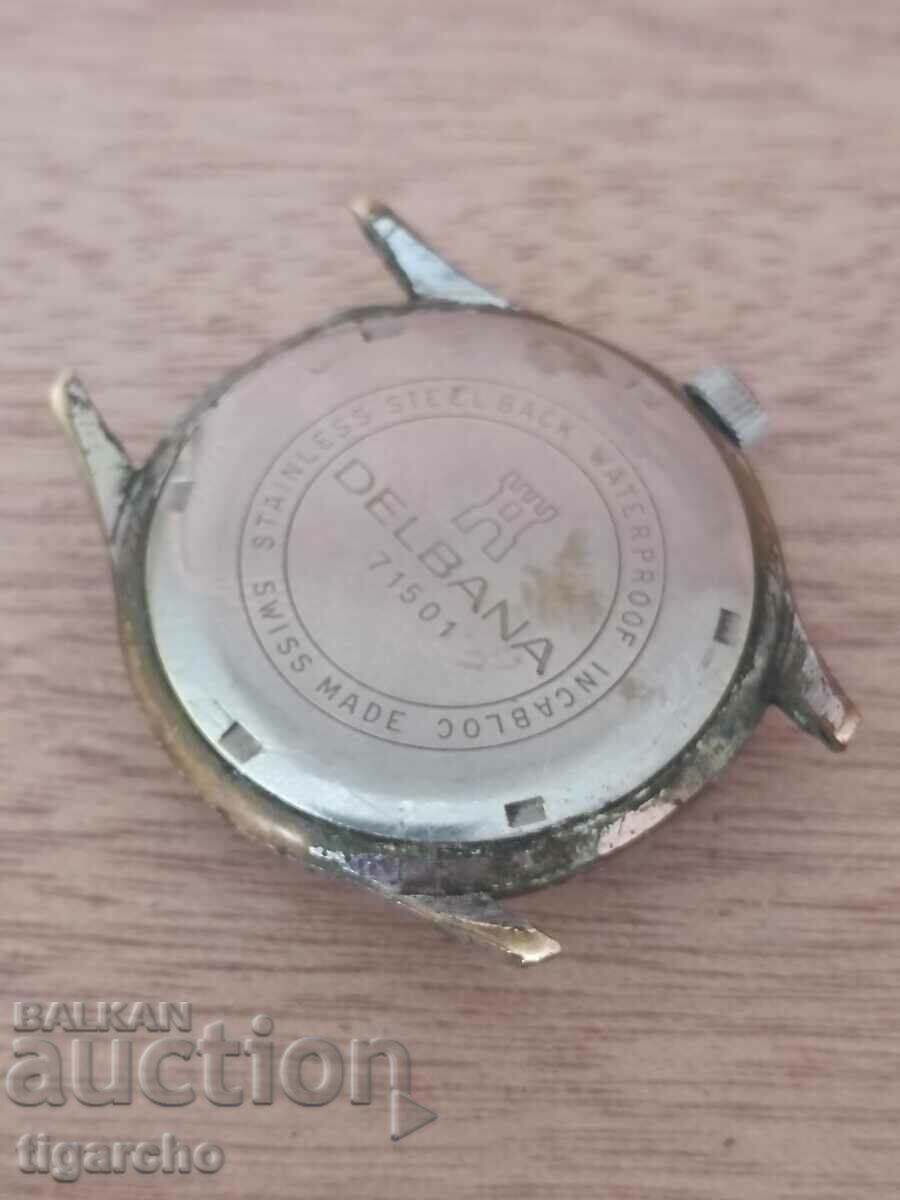 Delivery of Delbana watch