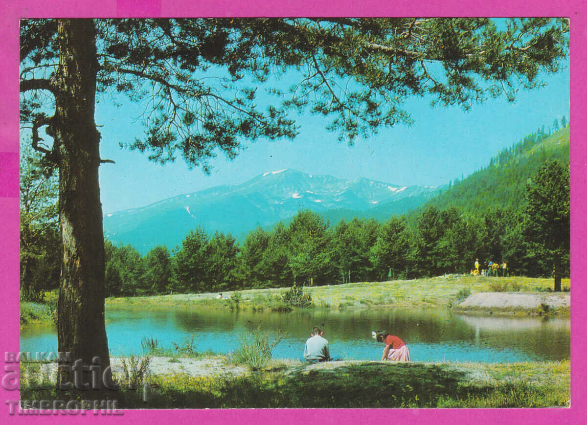 310338 / Muntele Rila - Localitatea Semkovo 1980 Septembrie PK