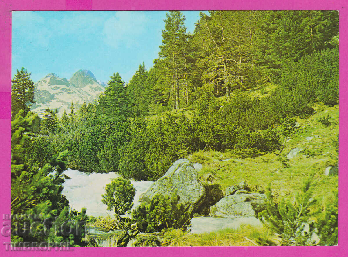 Auction 310360 / Rila Planina - Maliovitsa 1989 September PK Auction 310360 / Rila Planina - Maliovitsa 1989 September PK