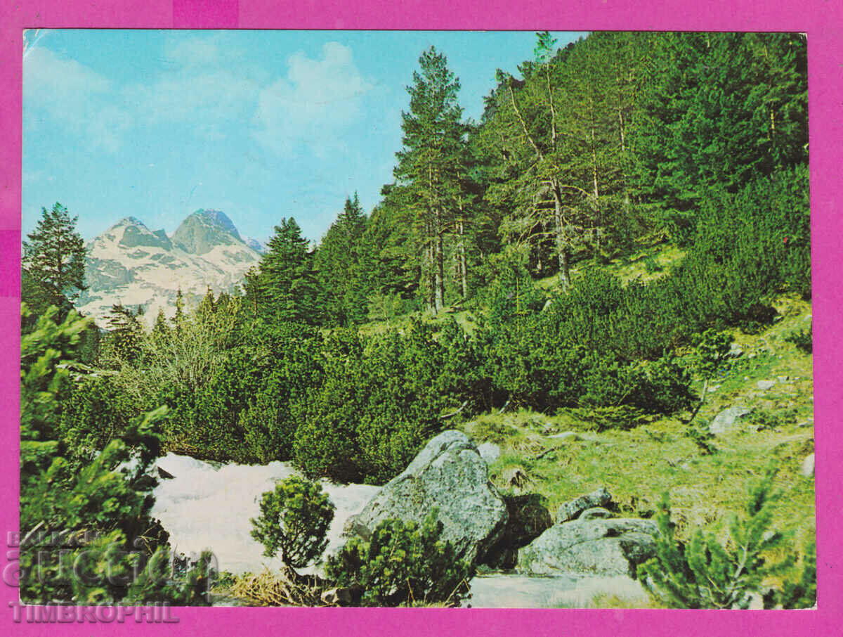 Auction 310361 / Rila Planina - Maliovitsa 1984 September PK Auction 310361 / Rila Planina - Maliovitsa 1984 September PK