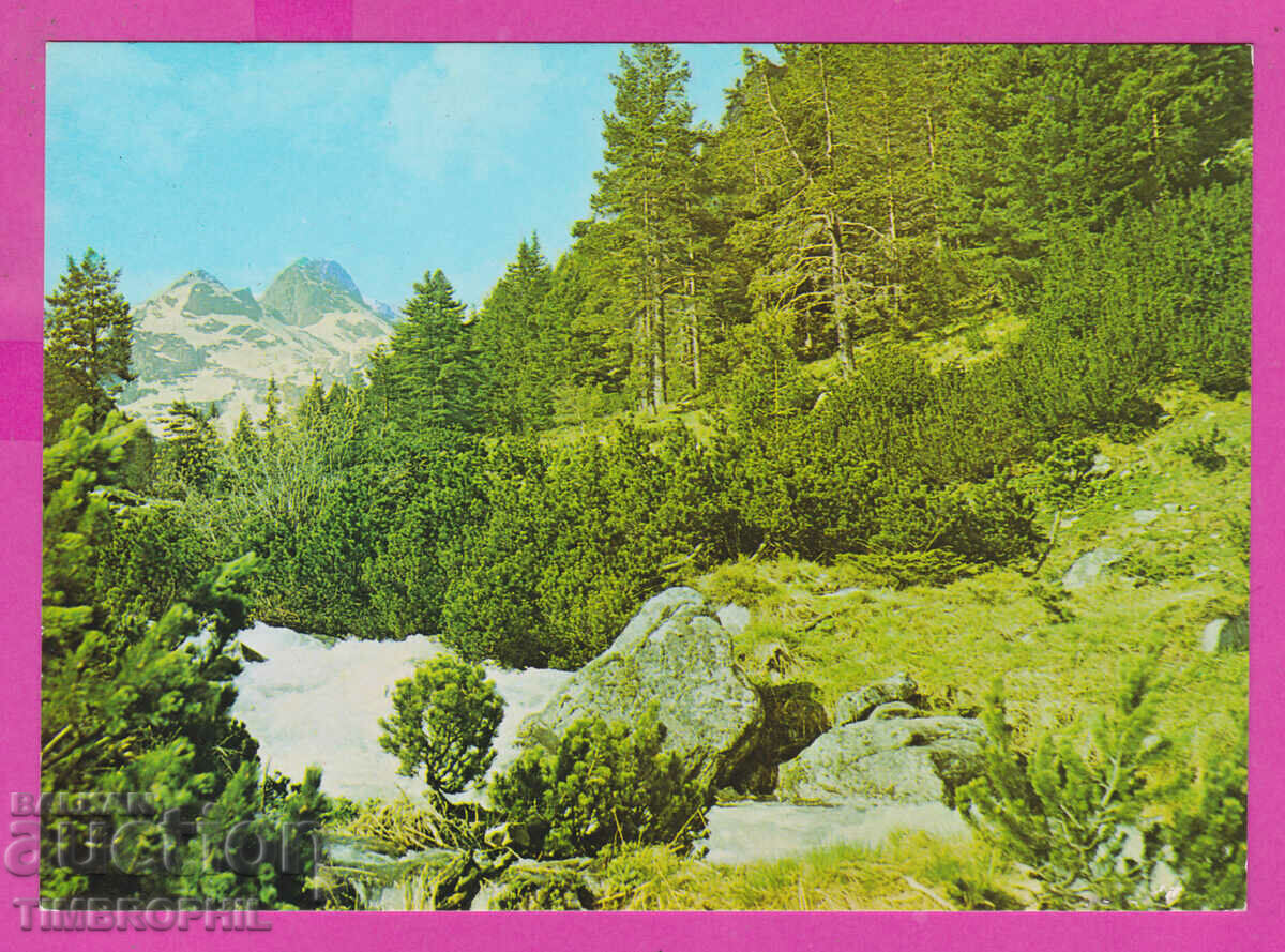 Auction 310364 / Rila Planina - Maliovitsa 1989 September PK Auction 310364 / Rila Planina - Maliovitsa 1989 September PK