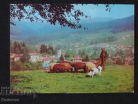 Koprivshtitsa shepherd view K418