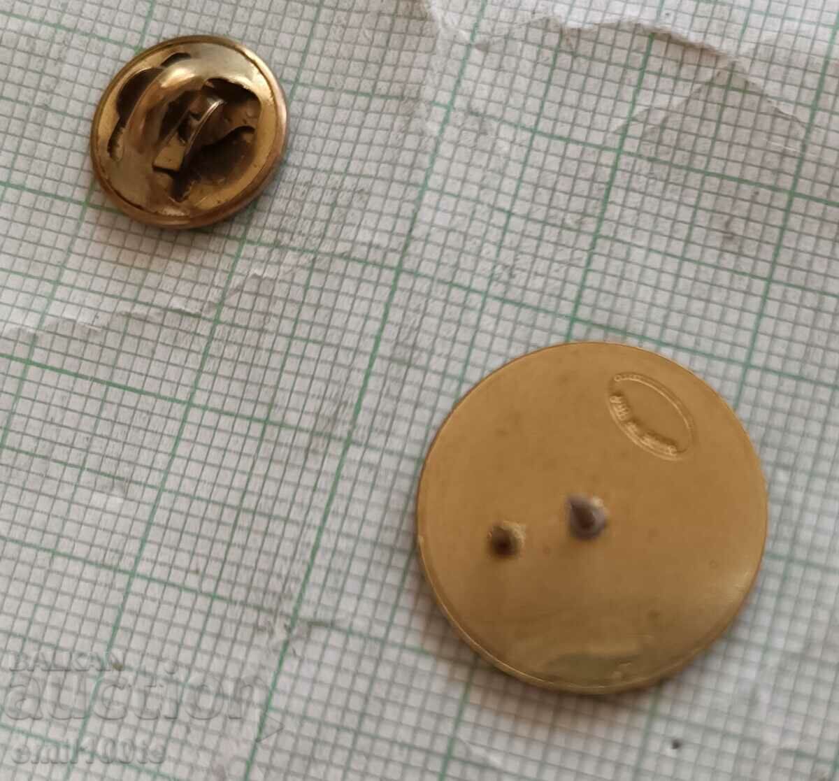 Badge - DEFENSE THREAT REDUCTION AGENCY USA - 6 Badge - DEFENSE THREAT REDUCTION AGENCY USA - 6