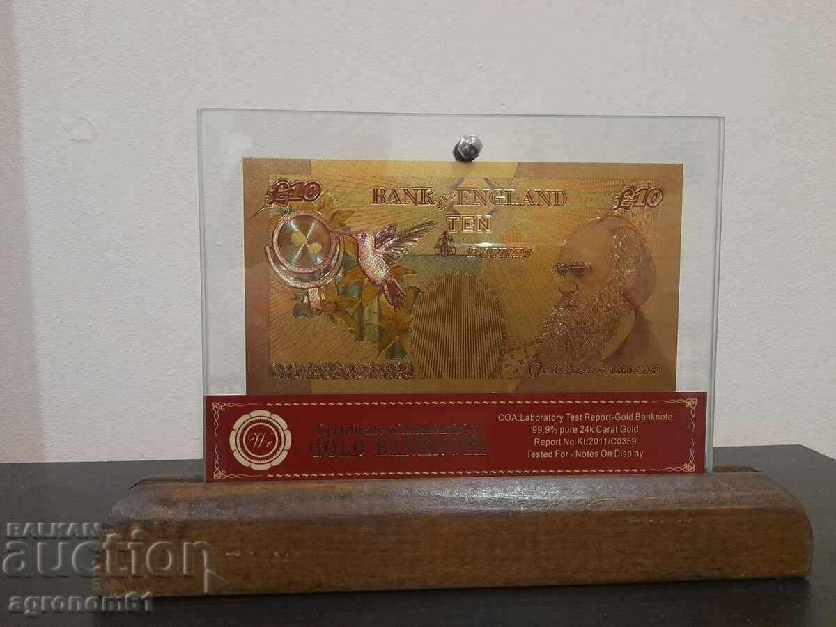 Delivery of Banknotes Pounds gold in a glass holder and solid wood Delivery of Banknotes Pounds gold in a glass holder and solid wood