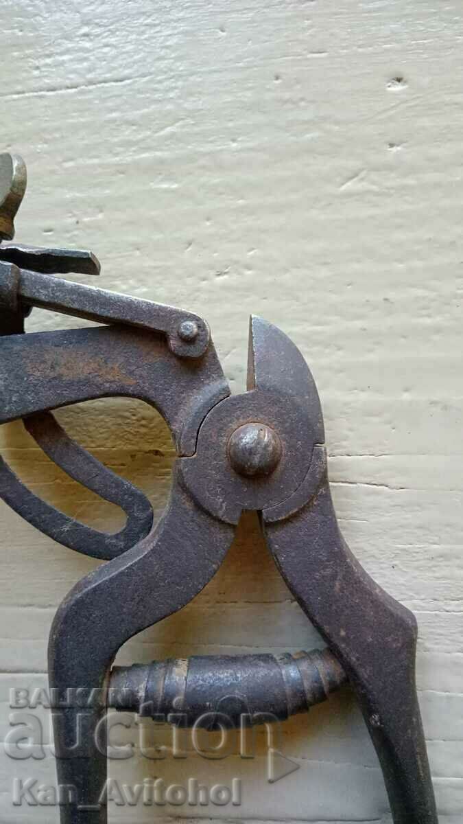 Livrarea Clești pentru colecția de decor foarfece Chaparral German Germania Livrarea Clești pentru colecția de decor foarfece Chaparral German Germania