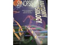 Synopsis of human anatomy and physiology