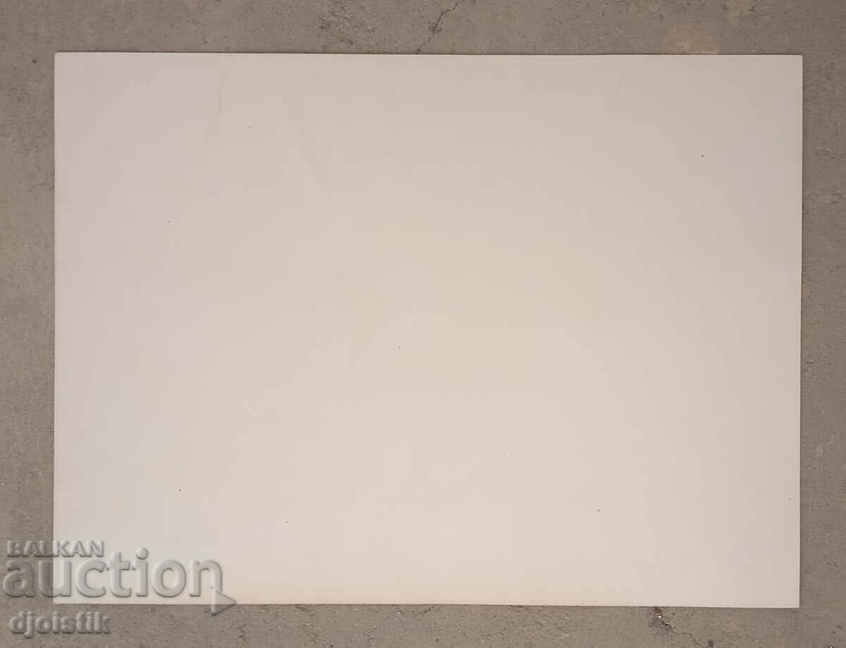 Аукцион Георги Василев. Графика. 1994 г. Аукцион Георги Василев. Графика. 1994 г.