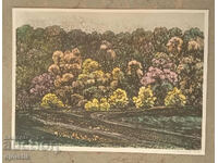 Георги Василев. Графика. 1994 г.