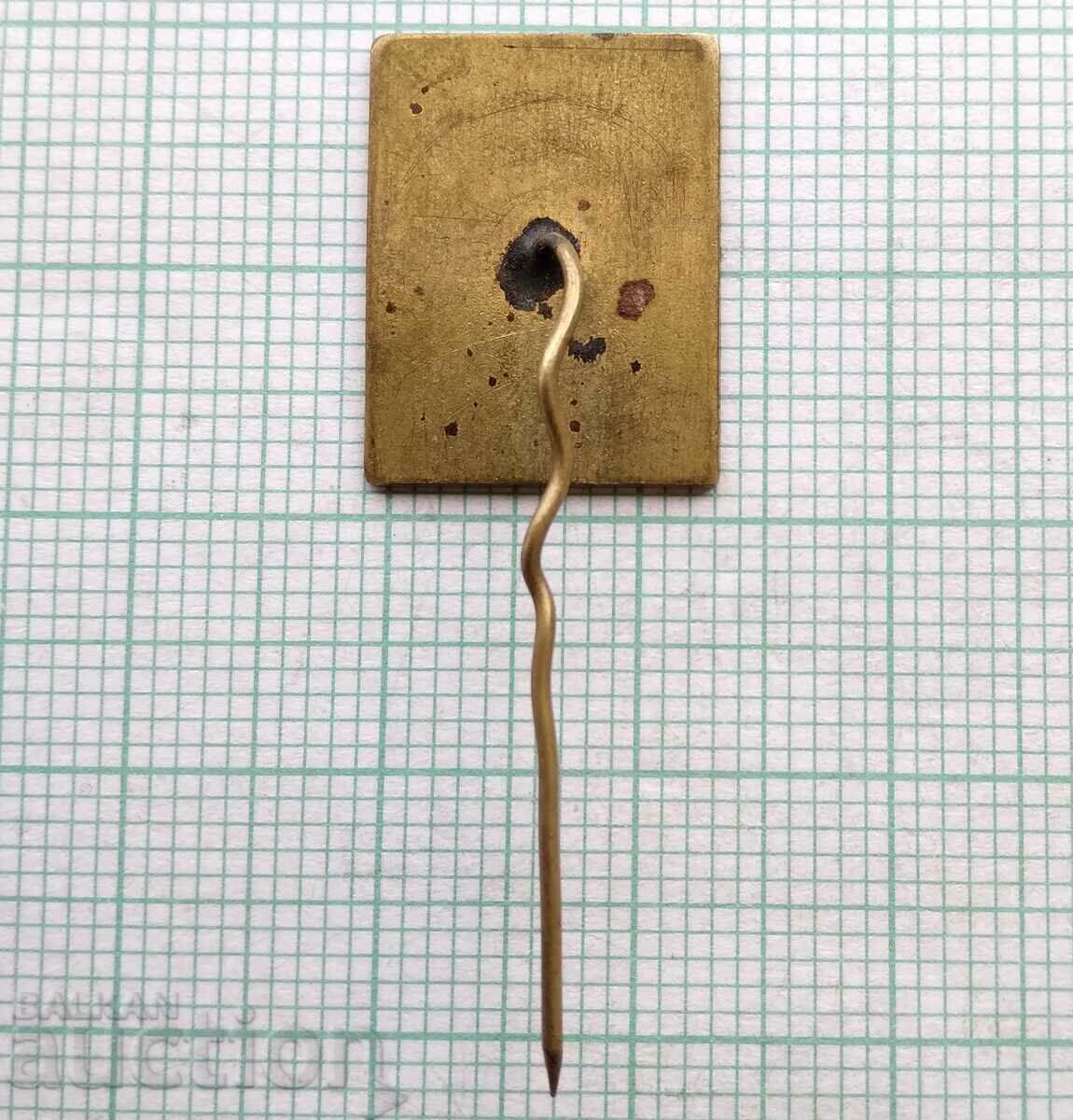 Delivery of 15543 Badge - 10 years RMZ