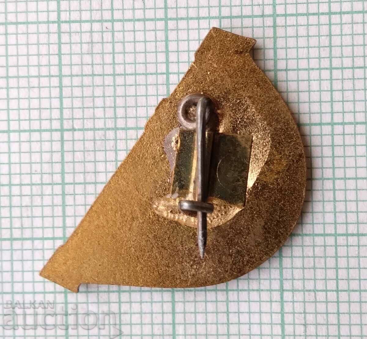 Auction 15548 Badge - Vodproekt - bronze enamel Auction 15548 Badge - Vodproekt - bronze enamel