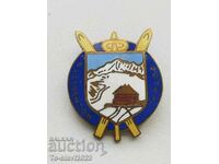 Old ski badge - Hohsholden - bronze with enamel