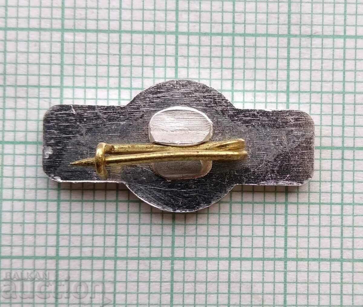 Auction  15559 Badge - 25 years enterprise Ministry of Project