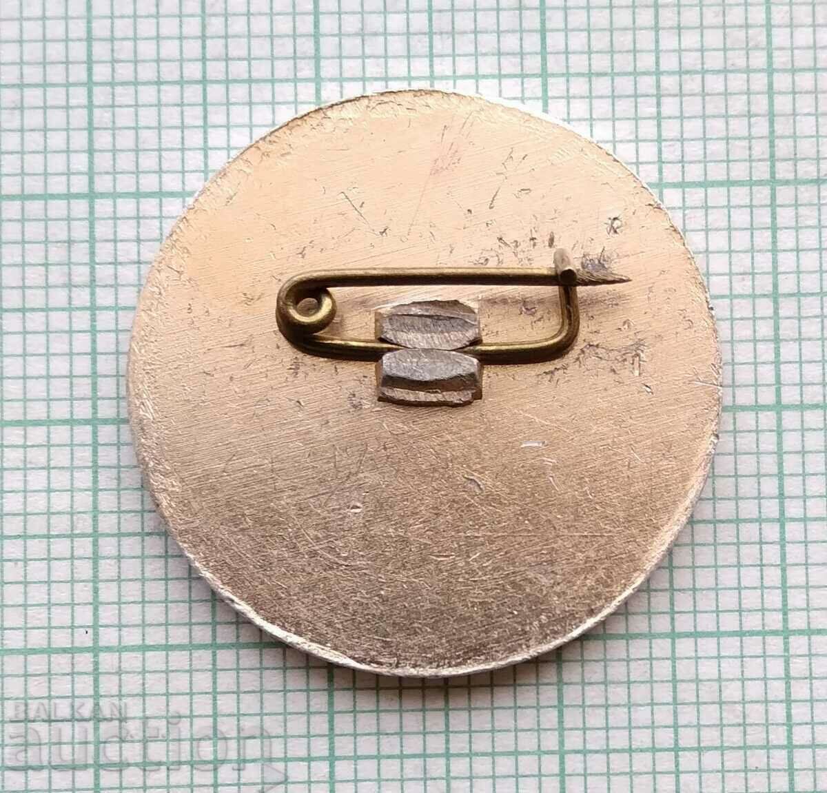 Auction 15560 Badge - 15 years Kremikovsky cast iron Auction 15560 Badge - 15 years Kremikovsky cast iron