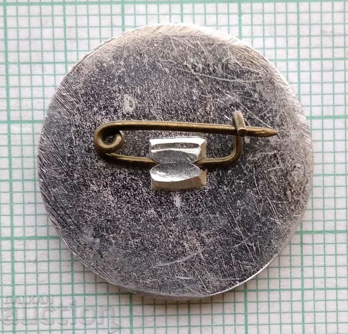 Auction 15563 Badge - 30 years SO Autotransport Auction 15563 Badge - 30 years SO Autotransport