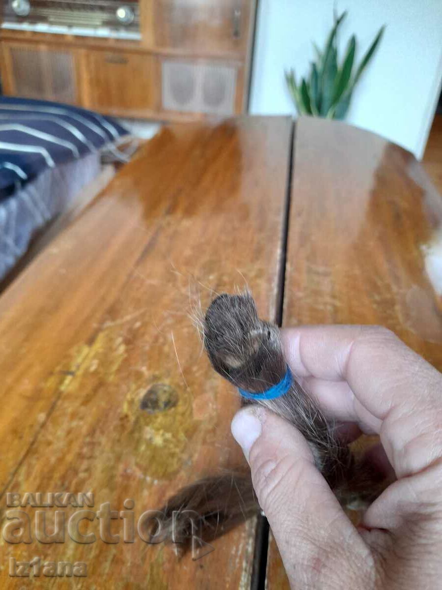 Old natural hair with price 65.00 BGN | € 33.23